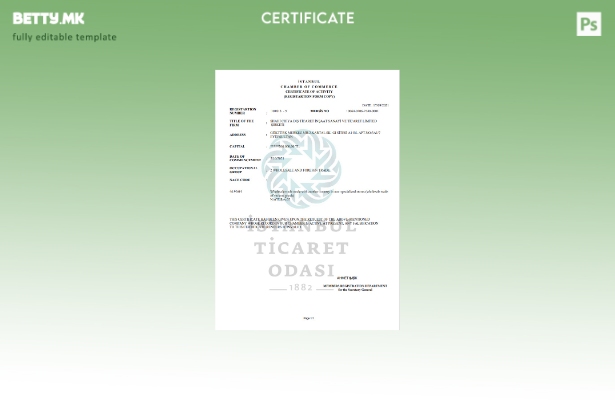 Модерен стил Турција Истанбул Шаблон за сертификат за активност во шаблон Word и